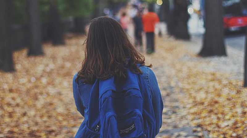 Toledo Education Guide